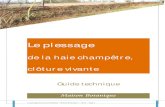 Le plessage - Overblogdata.over-blog-kiwi.com/0/50/38/70/201304/ob_0c8ac7...Le plessage de la haie champêtre – Maison Botanique -- 2012 - Page 4 Le plessage, clôture vivante Le