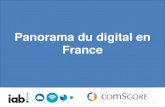 Panorama du digital en France...Publicité en ligne, les nouveaux challenges 10 162,470 171,652 Total vidéonautes uniques (000) Nombre de vidéonautes ayant visionné des publicités
