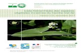 Observatoire Régional de la Biodiversité du Centre - Liste ...observatoire-biodiversite- ... Les partenaires de cette étude sont : Conseil régional du Centre-Val de Loire 9, rue