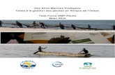 Des Aires Marines Protégées Utiles à la gestion des pêches ... · 3 Description de la task-force AMP-Pêche 3.1 Environnement institutionnel La task-force AMP-pêche engagedirectement