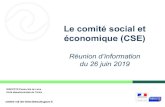 Le comité social et économique (CSE)centre-val-de-loire.direccte.gouv.fr/.../IMG/pdf/presentation_cse_def.pdf · élections. • Information des syndicats : Dans les entreprises