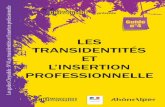 LES TRANSIDENTITÉS ET L’INSERTION PROFESSIONNELLEchrysalidelyon.free.fr/fichiers/doc/Chrysalide-Guide4-Emploi.pdf · transgenres, intersexes, travesties, ou qui se sentent proches