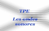 TPE Les ondes - e-monsitetpeonde-sonore.e-monsite.com/.../presentation-diaporama.pdf · 2013. 1. 28. · Sommaire • I. Qu’est-ce qu’une onde sonore et comment la perçoit-t-on