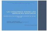 La violence dans les services sociaux · 2017. 5. 22. · Introduction La violence est un thème d’actualité ui appaaît uotidiennement dans les médias. On entend cha ue jou pale