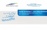 Comité Territorial n 5 des Alpes- Maritimes · 2017. 8. 1. · Les acquis de la concertation 2011 / 2012 . La commission Mobilité 21 . La décision du gouvernement . ... Le projet