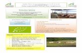 Quelle filière bovine biologique sur le 40 et le 64 31 ... · LES BLONDES d’Aquitaine 20 mères adultes 1 taureau 8 génisses (2 ans) - Mélange fermier maïs / méteil en période