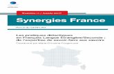 Synergies France nº 11 / 2017 · 2018. 1. 26. · Synergies France n° 11 - 2017 POLITIQUE EDITORIALE Synergies France est une revue francophone de recherche en Sciences Humaines