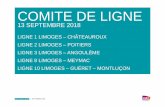 COMITE DE LIGNE...Travaux en fermeture de ligne réalisés du 10/09/18 jusqu’au 15/12/18 avec immobilisation de la voie d’évitement de Mignaloux du 01/10 au 16/11/18, limitant