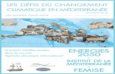 LES DÉFIS DU CHANGEMENT CLIMATIQUE - Femise...2018/05/11  · L’association était membre du Comité d’Organisation de la MedCop Climat Tanger en 2016 et collabore avec CGLU Afrique