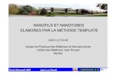 NANOFILS ET NANOTUBES ELABORES PAR LA ......Ecole Nanosoft 2007 Jean-Luc Duvail Sommaire I. Les nanofils et nanotubes a. définition, intérêt b. principales techniques de synthèse