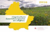 L’agriculture luxembourgeoise en chiffresstatistiques.public.lu/fr/publications/thematique/... · 2000 2005 2010 2013 2014 Valeur ajoutée brute aux prix de base en mio €: –