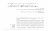 Description de trois nouveaux Ouratea L. (Ochnaceae) du …sciencepress.mnhn.fr/sites/default/files/articles/pdf/a... · 2015. 5. 6. · 90 ADANSONIA, sér. 3 • 2009 • 31 (1)