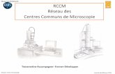 RCCM Réseau des Centres Communs de Microscopie...Journée des Réseaux 2016 Mission Interdisciplinarité A c c u eil Ph ototh qTX e Corbeille MR CT S i te h p be r Jp a u C C - I
