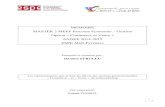 MEMOIRE MASTER 2 MEEF Parcours Economie – Gestion Option ...dante.univ-tlse2.fr/595/1/strullu_damien.pdf · Le développement de l’e-commerce, du C2C au B2C puis B2B. La fondation