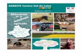 Mise en page 1 - DRAAF du Centre-Val de Loiredraaf.centre-val-de-loire.agriculture.gouv.fr/IMG/pdf/...Champ : petites, moyennes, es exploitations L’orientation technico-économique