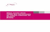 Bilan social 2019 relatif aux personnels du Centre national de (CNG) · 2020. 9. 2. · 5 / 73 En 2019, l’effectif des emplois autorisés au CNG est de 112 ETP (équivalents temps