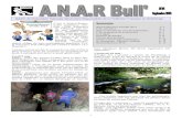 ANAR Bull 34anar.ffs.free.fr/Bulletins/ANAR_Bull_34.pdf · 2013. 10. 4. · Midi : un bon pique-nique offert par Claude, notre sympathique ami spéléo-vigneron, nous réunit au chaos