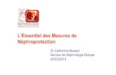 L'Essentiel des Mesures de Néphroprotection définitif · L’Essentiel des Mesures de Néphroprotection Dr Catherine Masset Service de Néphrologie-Dialyse 20/03/2014