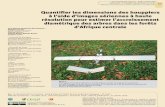 Quantifier les dimensions des houppiers à l’aide d’images ... · zación de imágenes aéreas de alta resolución para estimar el crecimiento diametral de los árboles, integrando