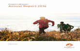Polygiene AB (publ.) Annual Report 2016 · 2017. 5. 17. · 2 3 Polygiene AB (publ.) Annual Report 2016 2016 in brief Net sales in 2016 increased by 20 percent to MSEK 61.6 (51.5).