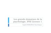 Les grands domaines de la psychologie.pptx [Lecture seule] · 2019. 10. 4. · La psychologie sociale «La psychologie sociale traite de la dépendance et de l’interdépendance