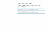 Diplôme de comptabilité et de gestioncache.media.education.gouv.fr/file/examens/70/6/RAPPORT... · 2017. 11. 21. · Rapport DCG – Session 2017 Page 2 1.2.2- Nombres de diplômés