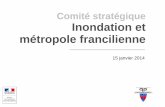 Comité stratégique Inondation et métropole francilienne...d'action nécessaires : connaissance et maîtrise de l'aléa, développement de la culture du risque, réduction de la