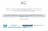 EVALUATION DES FONCTIONS DE PRODUCTION DU … · 2019. 11. 14. · OPUR : Observatoire des Polluants Urbains en Île de France Thème de recherche n°4 Action de recherche 4.1 –