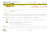 Cultiver le colza - CHAMBRE D'AGRICULTURE - AUBE · PDF file Cultiver le colza en Agriculture Biologique Techniques AGRO 3 Les cultures d’hiver Conseils : - Effectuer un profil de