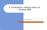 L’évaluation interne dans le secteur MScyrilgachen.free.fr/ifsi/4.8/QualitéGDR_berrouet/evaluation MS_IFSI.pdf · Utiliser les recommandations de l’ANESM (document intitulé