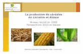 La production de céréales en Lorraine et Alsace...Hiver froid et déficit pluviométrique en sortie d’hiver Des rendements dans la moyenne quinquennale (72 q/ha pour l’Alsace,