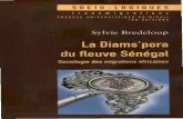 La Diams'pora du fleuve Sénégal : sociologie des migrations …horizon.documentation.ird.fr/exl-doc/pleins_textes/... · 2016. 8. 10. · 1981; Ebin, 1993; Schmidt di Friedberg,