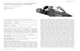 Synthèse des données ornithologiques du 15 août 2014 au 14 … · 2018. 7. 11. · Alain (BoiA), BOIREAU Fabien (BoiFa), BOISSINOT François ... du 15 août 2014 au 14 août 2015