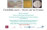 Candida auris – focus sur la France€¦ · JNI; 6 Juin 2019 Olivier Lortholary Centre d’Infectiologie Necker-Pasteur . Université de Paris, Hôpital Necker Enfants malades,