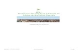 IEB - Inventaire des enquêtes publiques en Région de ... · PRAS - 0.03 - actes et travaux dans les zones d'espaces verts Imprimé le : 27/01/2010 16:44:45 (C) IEB et Know It! P.11/46