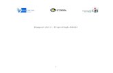 Rapport 2013 : Projet High-BRID - univ-lorraine.frIbrahim.Zangre/files/... · Institut Elie Cartan Nancy, UMR 7502 Université Henri Poincaré, Nancy 1/ CNRS Equipe INRIA ALICE, Bureau