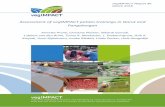 vegIMPACT Report 46 March 2018€¦ · 1. Introduction ... behavioural changes using farm management registrations, farmer surveys, semi‐structured ... people in 2009 to 11% in