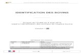 Annexe arrêté Identification des Bovinsidele.fr/fileadmin/medias/Documents/Annexe_arrete_Bovins_v1.20.pdf · Annexe de l‘arrêté du 6 août 2013 relatif à l‘identification