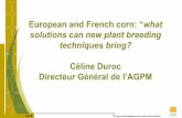 Directeur Général de l’AGPM - PRRI · Le maïs en Europe 180 millions d’hectares de maïs grain dans le monde dont 8,9 en Europe (UE28) 1,03 milliard de tonnes produites dont