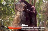40 ans de coopération entre la FAO et le Niger · 2017. 11. 29. · de coopération entre la FAO et le Niger 40ans Photos de couverture ©FAO/Giulio Napolitano Les appellations employées