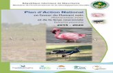 Plan d’Action National - BirdLife International · Aftout Es Saheli which is a coastal site constitutes the only breeding area known for the West African population of the lesser
