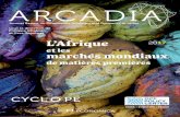 Arcadia... · THINK•STIMULATE• BRIDGE CYCLOPE ARCADIA Annual Report on Commodity Analytics and Dynamics in Africa C’est le visage d’une Afrique légèrement rassérénée