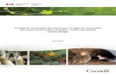 Stratégie de conservation des oiseaux pour la région de … · 2018. 9. 16. · des uate goupes d’oiseaux dont ô % sont des oiseaux teestes, 8 % sont des espèces de sauvagine,