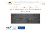 Liste rouge régionale des oiseaux de Bourgogneepob.free.fr/spip/IMG/pdf/Liste_rouge_regionale-internet.pdf · 2013. 5. 15. · Liste rouge régionale des oiseaux de Bourgogne : Bilan
