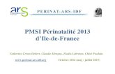 PMSI Périnatalité 2013 d’Ile-de-France PMSI... · domiciliés en Ile de France ayant eu lieu en dehors de l’Ile de France, n’étaient pas accessibles auparavant. L’exhaustivité