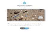 Odyssée Race For Water · autour du monde 2015 Analyse quantative et qualitative des débris marins plastiques collectés sur le littoral . 2 ... FIGURE 3 : ILLUSTRATIONS D’UN