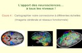 L’apport des neurosciences… à tous les niveaux · Social (corps-cerveau-environnement) Cours 4 : Plan Intro : les problèmes auquel fait face la cartographie cérébrale Les