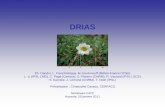 DRIAS - GIP-ECOFOR · Des facilities, et une base durable ... – Plusieurs hypothèses d'émission, plusieurs modèles et plusieurs méthodes de descente d'échelle. Une première