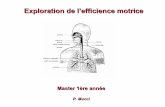 Exploration de l’efficience motricecampusport.univ-lille2.fr/documents/entrainement/... · Stimulent en partie la ventilation d’exercice surtout au début-Fuseaux neuromusculaires