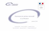 Panorama du secteur associatif à La Réunion · créations 2011-2012 Créations pour 1000 habitants Préfecture de Saint-Denis 1 370 310 310 6,9 SP de Saint-Pierre 1 576 331 271